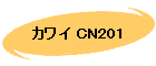 カワイ CN201