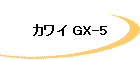 カワイ GX-5